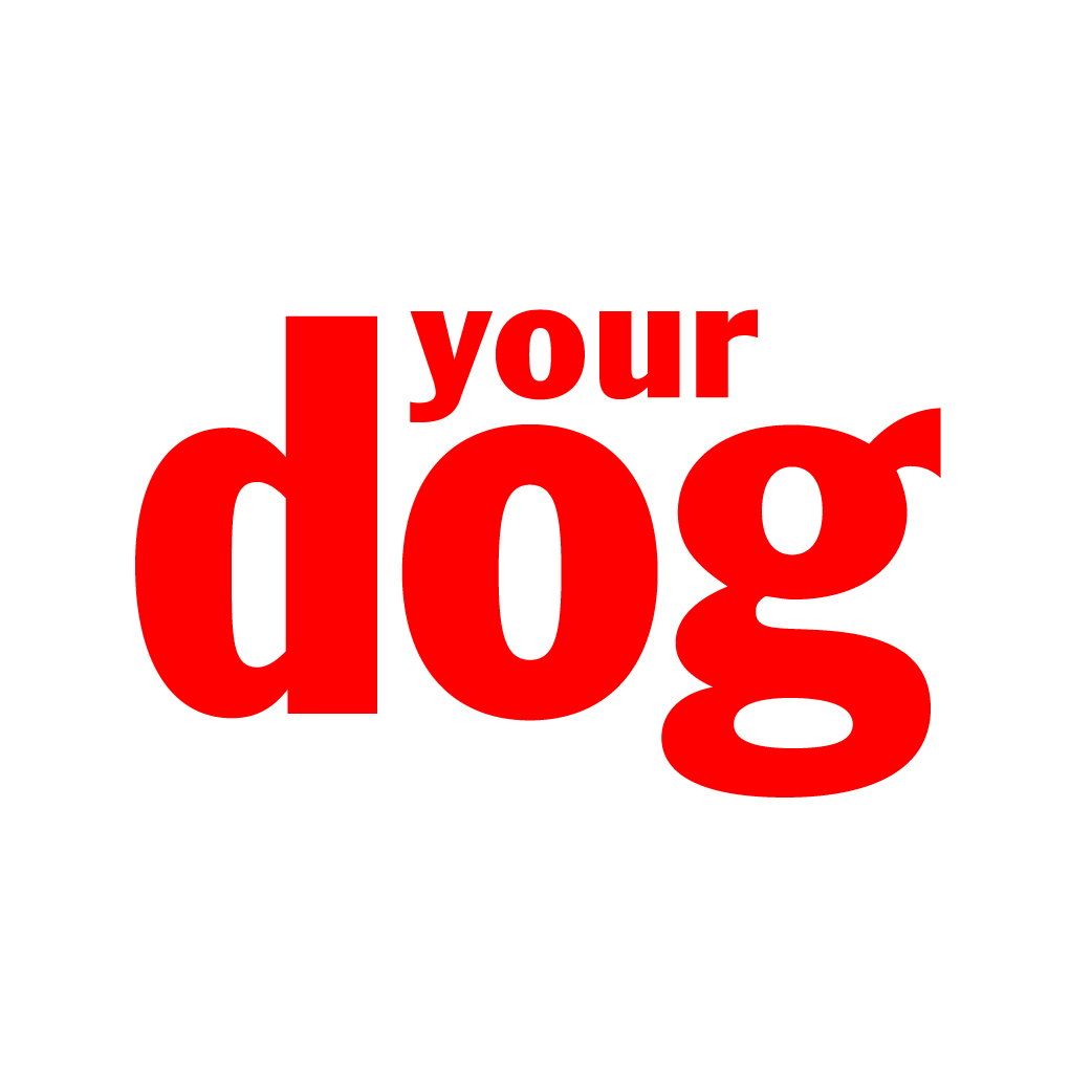 Your Dog Magazine